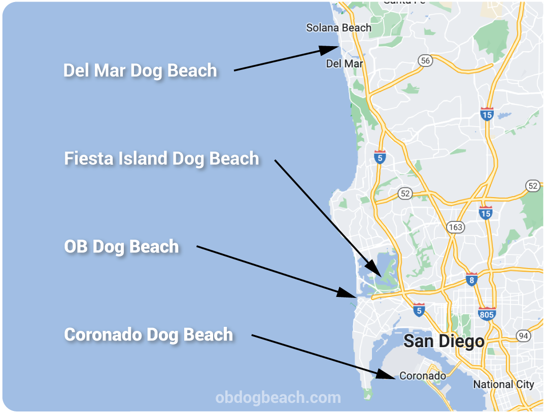 Ocean Beach Dog Beach Info Center
